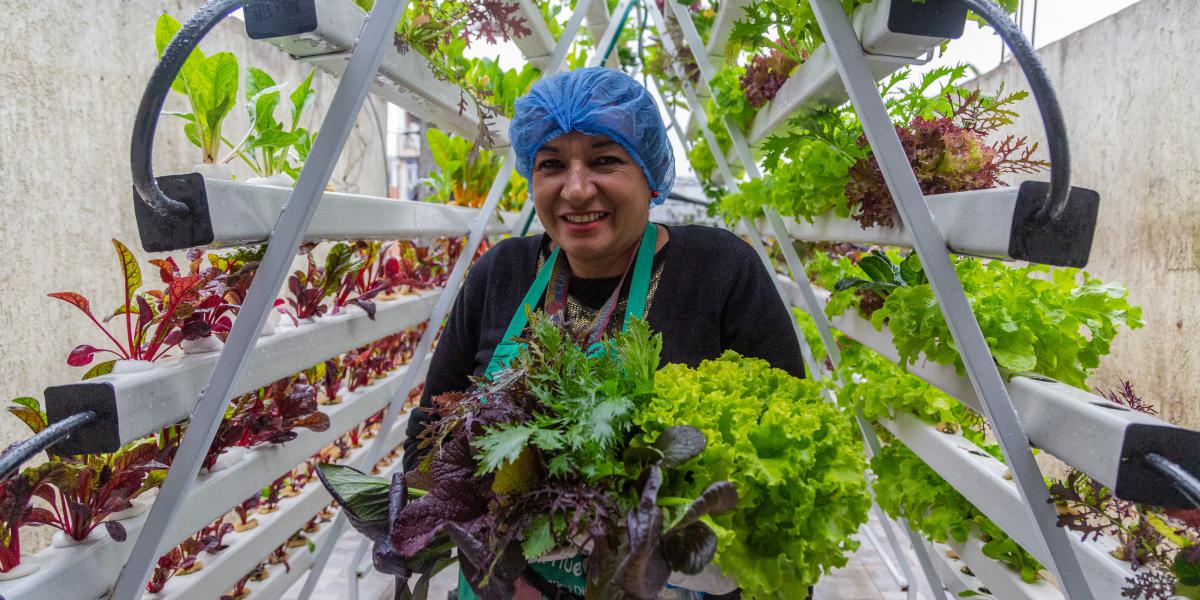 Frutiorgania, una empresa por la superación de la mujer campesina Yaneth Celis, víctima del conflicto, en su proyecto de huerta casera en Bogotá.