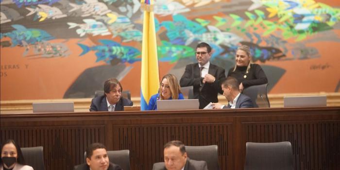 Senadores y representantes en sesión de plenaria del Congreso en que pasó a conciliación el proyecto de Ley Orgánica (432 de 2022 - Cámara y 366 de 2022 - Senado), que distribuye en las comisiones del Legislativo a los 16 elegidos en las curules de paz