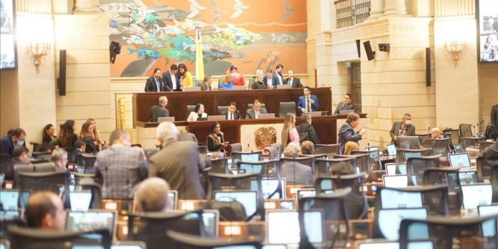 Senadores y representantes en sesión de plenaria del Congreso en que pasó a conciliación el proyecto de Ley Orgánica (432 de 2022 - Cámara y 366 de 2022 - Senado), que distribuye en las comisiones del Legislativo a los 16 elegidos en las curules de paz