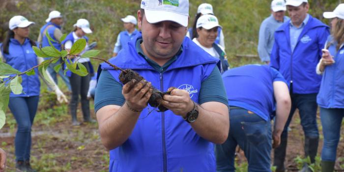 Asistente en jornada de reforestación Siembra esperanza, cosecha Paz