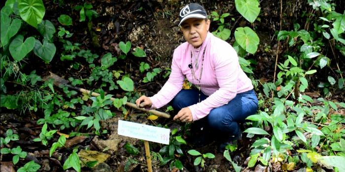 Cierre de la estrategia Psicosocial Hilando en Rovira (Tolima)