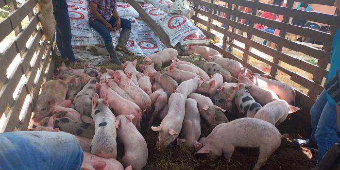 Proyectos productivos para más de 500 familias retornadas en Yolombó (Antioquia) Entrega insumos agropecuarios