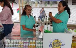 Víctimas de Valle del Cauca exponiendo sus emprendimientos en Feria de Tuluá 