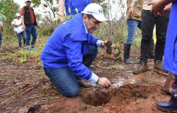 Director General, Ramón Rodríguez en jornada de reforestación Siembra esperanza, cosecha Paz