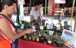 Víctimas comercializaron productos en feria de emprendimientos en Sabaneta.  