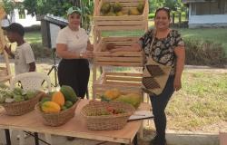 Participantes feria  “Magdalena, tierra de agricultores”