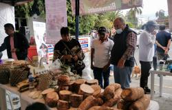 Feria agropecuaria en Pasto de indígenas awá