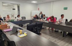 Patricia Tobón y Mesa Nacional de Participación de Víctimas