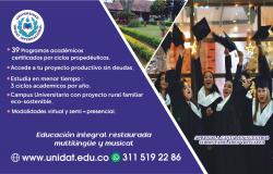 Pieza gráfica programas académicos en la Universidad Unidat Internacional