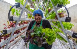 Yaneth Celis, víctima del conflicto, en su proyecto de huerta casera en Bogotá.