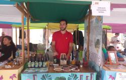 Feria de Emprendimiento Hecho en Paz